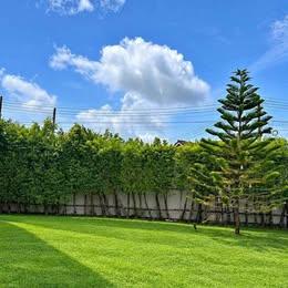 1 Bed 1 Bath - Apartment