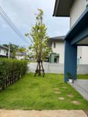 4 Beds 3 Baths - House — صورة 2