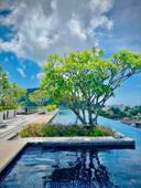 1 ห้องนอน 1 ห้องน้ำ - อพาร์ทเมนท์ — ဓာတ်ပုံ 4