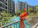 1-Bedroom Condo for Rent in The Origin Kathu-Patong, photo 9