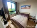 2 спальни Кондо в аренду в Zcape X2, фото 2