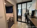 Studio, 1 bilik mandi, 26 meter persegi, Wichit, Bandar Phuket — foto 4