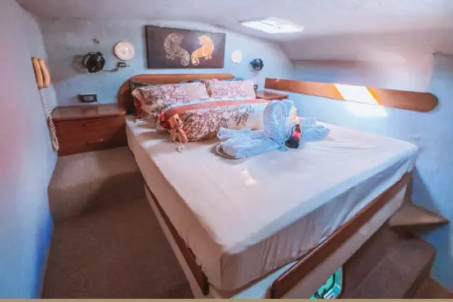 Catamaran Aste — photo 4