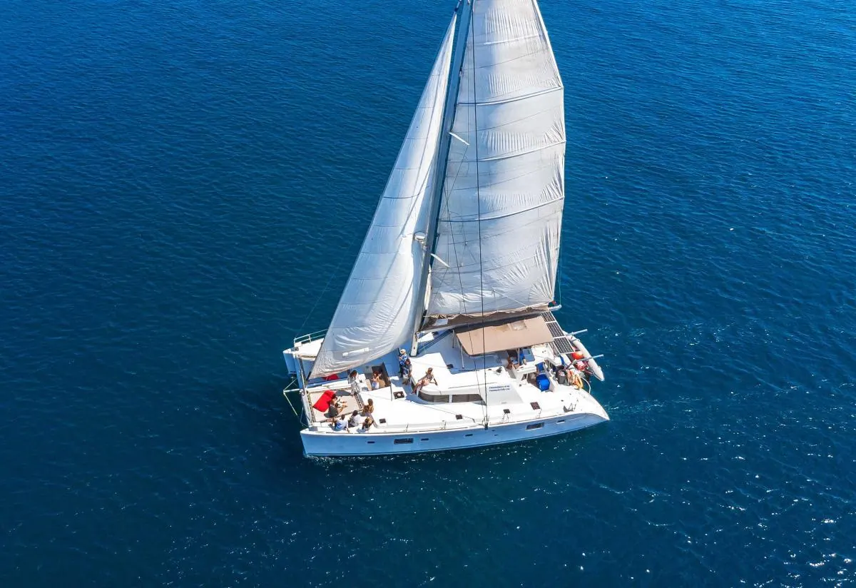 كاتاماران Lagoon 500 (2010)