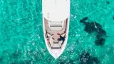 Speedboat Ocean Pearl 42 — photo 33