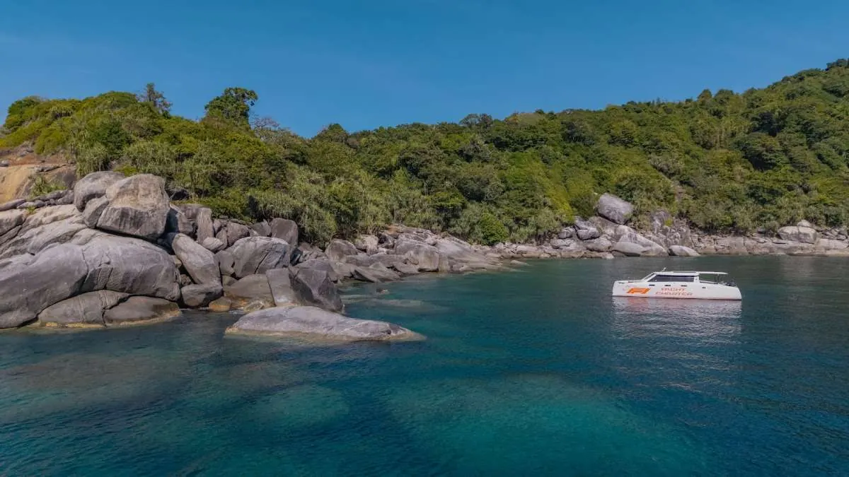 မော်တာ catamaran ပါဝါ Catamaran 40