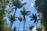 11 islands in one day: James Bond, Hong and Phi Phi, photo 3