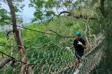 Hari yang aktif untuk seisi keluarga: Big Buddha, zip line, ATV dan go-kart, foto 2