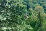 Hari yang aktif untuk seisi keluarga: Big Buddha, zip line, ATV dan go-kart, foto 3