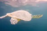 Menyelam di luar Pulau Racha dengan seorang pengajar peribadi, 2 kali menyelam, foto 2