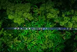 อุทยานหนุมานเวิลด์เอ็กซ์ตรีมพร้อมบริการรับส่ง: ซิปไลน์และสะพานแขวน, รูป 3