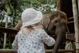Memberi makan gajah di taman di Choeng Tal, diiringi dalam bahasa Inggeris, foto 1