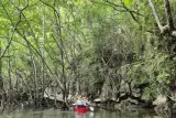 Krabi dalam kumpulan mini: kayak di hutan bakau dan pulau Hong dan Lao Lading, foto 2