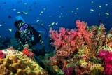 Kursus menyelam yang diperakui antarabangsa di luar Pulau Racha Yai, foto 2