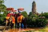 क्वाड बाइकिंग, हाथियों के साथ तैराकी और फुकेत जंगल में ज़िप लाइनिंग, फ़ोटो 1