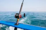 Memancing laut dari Phuket: trolling, memancing dasar dan makan tengah hari dari hasil tangkapan, foto 2