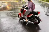 Sekolah motosikal di Phuket: pelajaran memandu skuter dengan pengajar, foto 1