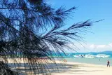 Phang Nga Körfezi Adaları, kano ve deniz çingeneleriyle öğle yemeği, İngilizce rehber, fotoğraf 2