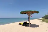 بوكيت للتعارف الأول: رحلة خاصة لمدة 7 ساعات, صورة 5