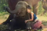ภูเก็ตสำหรับทั้งครอบครัว วัด จุดชมวิว และฟาร์มพร้อมสัตว์ต่างๆ เป็นรายบุคคล, รูป 1