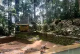 Trekking through the jungle to Kathu Falls, photo 2
