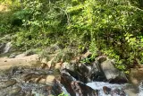 Trekking through the jungle to Kathu Falls, photo 4