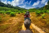 Khao Lak'ta küçük grup safarisi: filler, sallar, şelale ve kaplumbağalar, fotoğraf 1