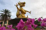 फुकेत के पुराने शहर में पारिवारिक खोज "गोल्डन ड्रैगन का रहस्य", फ़ोटो 2