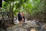 Mendaki Puncak Naga di Krabi: trekking selama satu hari, foto 1
