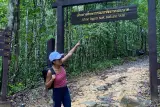 Mendaki Puncak Naga di Krabi: trekking selama satu hari, foto 3